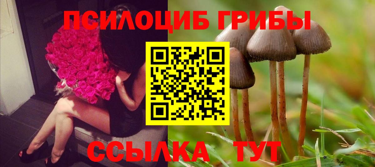 Галлюциногенные грибы Psilocybe  Галлюциногенные грибы Magic Shrooms  Вход с VPN  Дедовск 